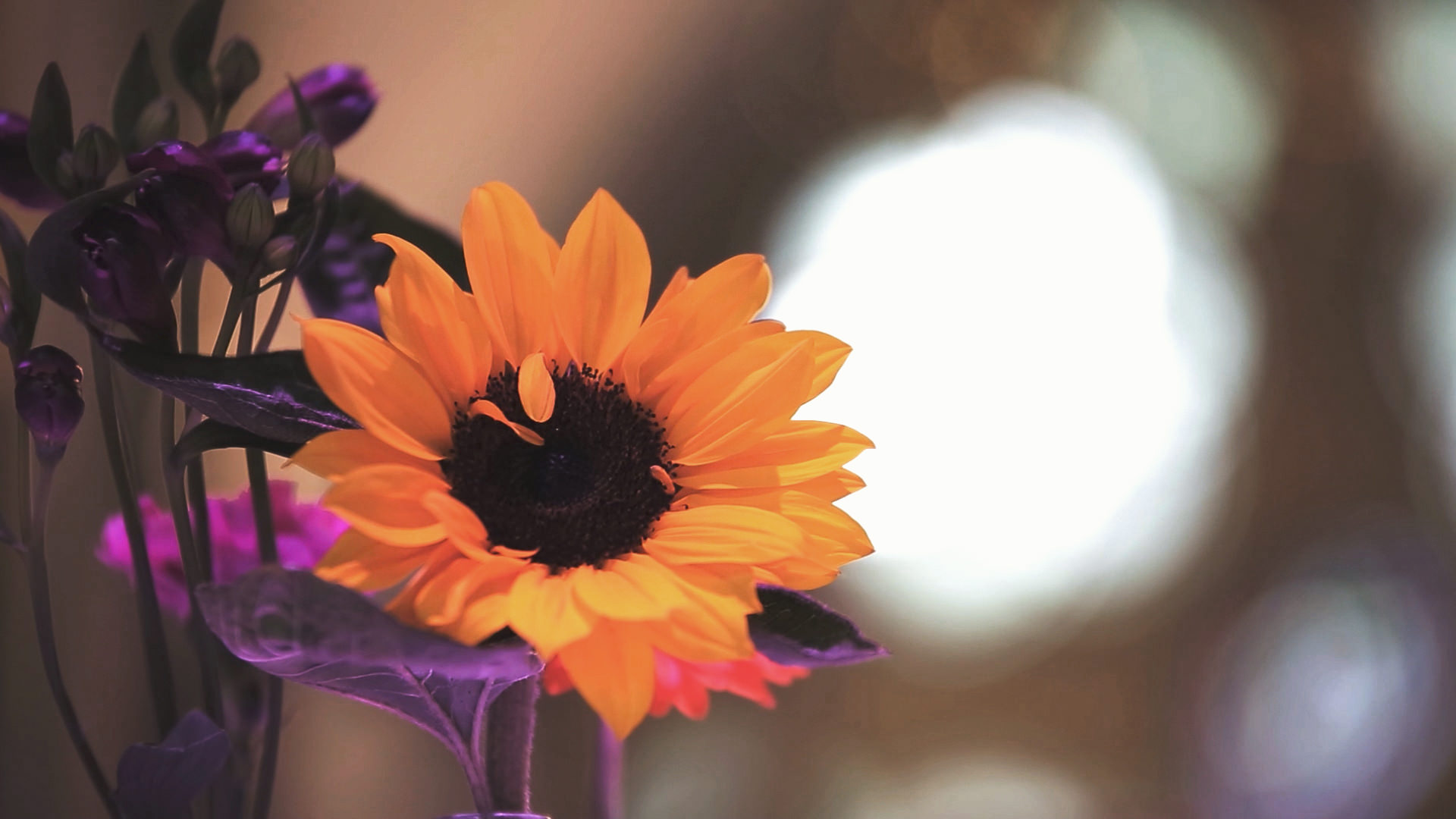 Oran Mor Glasgow Wedding Videographer Yellow flower wedding table decoration